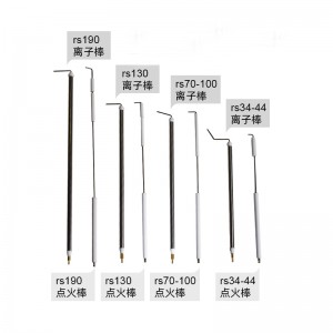 Datgelu Probe (ar gyfer bumers nwy)