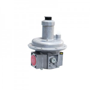 הרגולטורים גז בלחץ DUNGS Pmax 500mbar