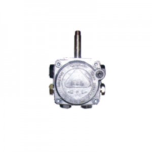 New Arrival China Servo Motor -
 Oil pump parts  RIELLO PUMPS – EBURN